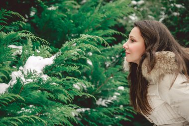 Kız glooking ağacının