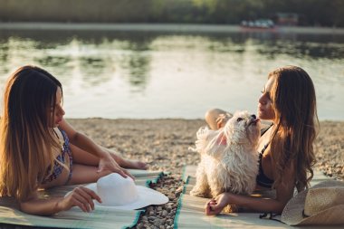 Kız arkadaşları ile sahilde yalan ve konuşan köpek