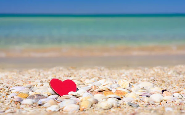 Coração Vermelho Está Praia Praia Com Muitas Conchas Contra Fundo — Fotografia de Stock