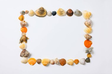 Beyaz bir çarşaf üzerinde deniz kabuklarından yapılmış çerçeve. Merkezde boş bir boşluk.