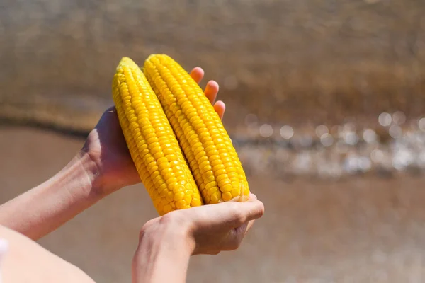 Ripe Delicious Corn Children Hands Beach Selective Focus First Corn — Stock Fotó