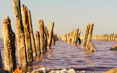 Günbatımında Kırım 'da pembe bir gölde tuz madenciliği. Çerçevenin ortasındaki tahta direklere odaklan