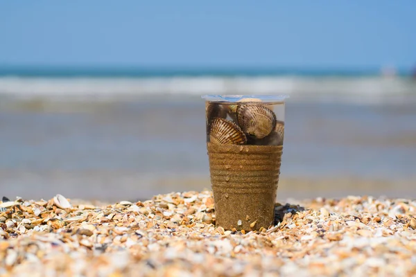 Copo Plástico Com Areia Conchas Vivas Fica Praia Foco Seletivo — Fotografia de Stock