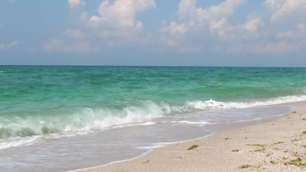 Silne Fale Czarnej Plaży Morskiej Piękna Plaża Beliaus Krymie Podczas — Wideo stockowe