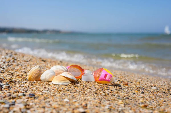 Des Lunettes Plongée Pour Enfants Trouvent Côté Des Coquillages Trouvés — Photo