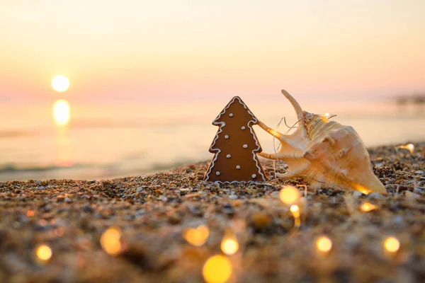 Akşam günbatımında deniz kıyısında büyük güzel bir deniz kabuğu olan küçük bir Noel ağacı. Etrafta çelenk ışıkları var. Ağaca seçici odaklanma.