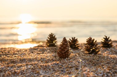 Sahilde çelenk taşıyan çam kozalakları gün batımına karşı. Noel 'i denizde kutluyoruz. Yakın bir çam kozalağına odaklanın..