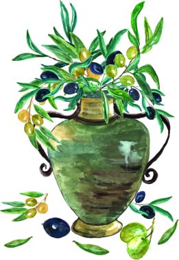 Suluboya el zeytin düzenleme ve amfora boyalı