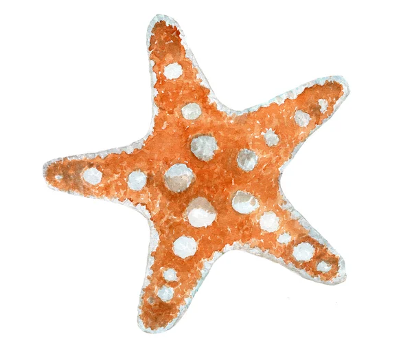 水彩動物 seastar — ストックベクタ