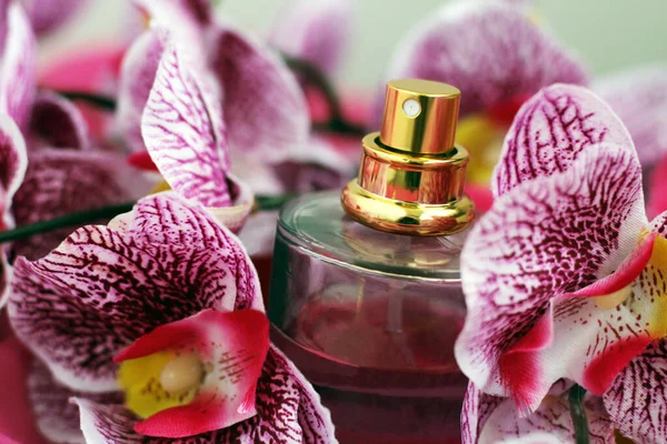 Różowa Orchidea Butelka Perfum Romantyczny Prezent — Zdjęcie stockowe