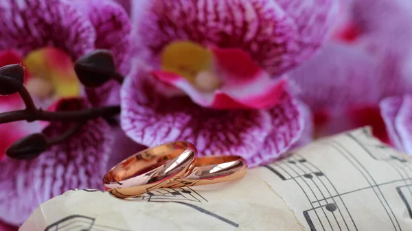 Bouquet Pink Flowers Wedding Rings Close — Stock Photo, Image