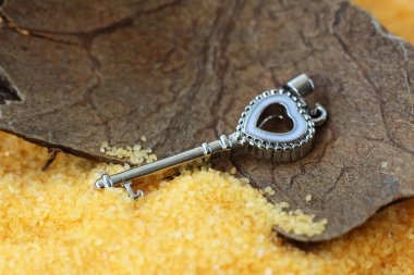 Gümüş kolye ve kum çok yakın.