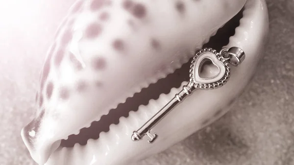 Ασημένιο Κολιέ Κλειδί Και Κοχύλια Τόσο Κοντά — Φωτογραφία Αρχείου