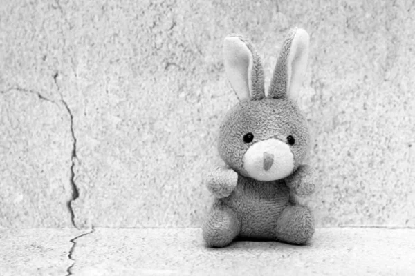 Toy Soft Hare Στο Φόντο Του Σοβά Ένα Αντικείμενο — Φωτογραφία Αρχείου