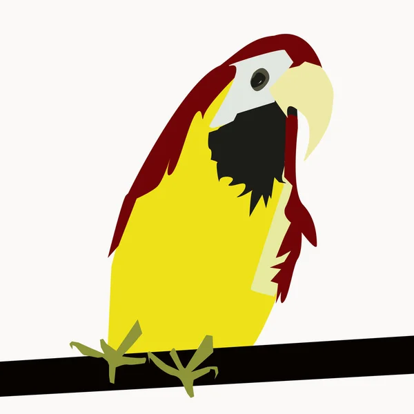 Duża Kolorowa Papuga Białym Tle — Zdjęcie stockowe