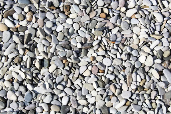 Фон Морських Каменів Сірий Колір Природа — стокове фото