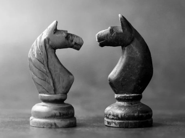 Two pieces horses chess black and white