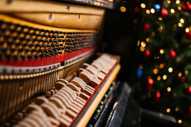 Yılbaşı ağacı ve çelenklerle dolu yeni yıl evi.