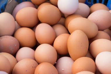 Tavuk yumurta pazarında