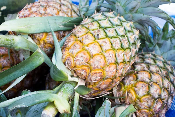 Pineapple on shelf in market — Stock Photo, Image