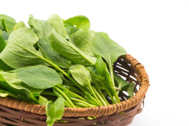 Çin Lahanası sepeti