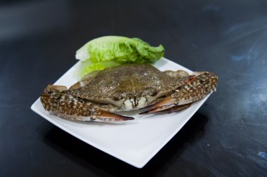 Vapur için yengeç yakın çekim