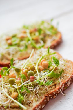 Bütün tahıl ekmeği, yonca, hummu ile sağlıklı vejetaryen sandviç