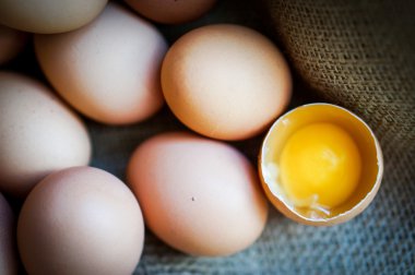 Çiftlik kahverengi tavuk yumurtası kaldırdı