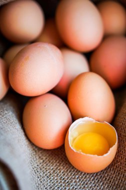 Çiftlik kahverengi tavuk yumurtası kaldırdı