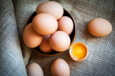 Çiftlik kahverengi tavuk yumurtası kaldırdı