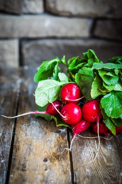 Radishes on rustic wooden background — Stock Photo, Image