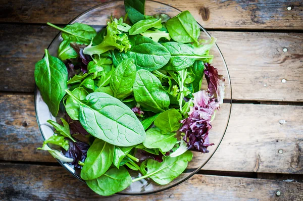 Freshh yeşil ıspanak, roka, romane ve marul salatası