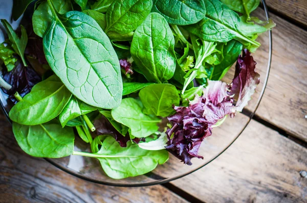Freshh yeşil ıspanak, roka, romane ve marul salatası