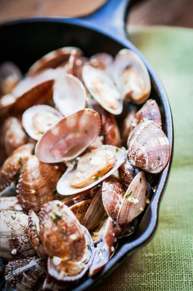 Cast iron skillet of Delicious Fresh Steamer Clams with Garlic a — Stock Photo, Image