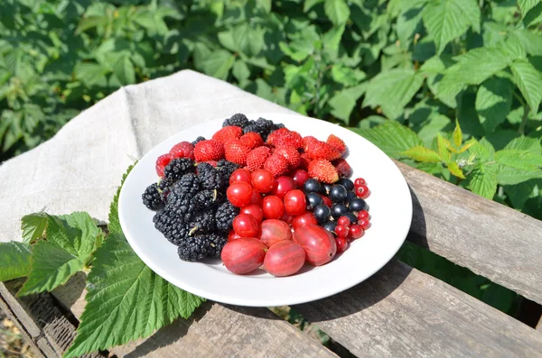 Свежие летние ягоды на тарелке . — стоковое фото