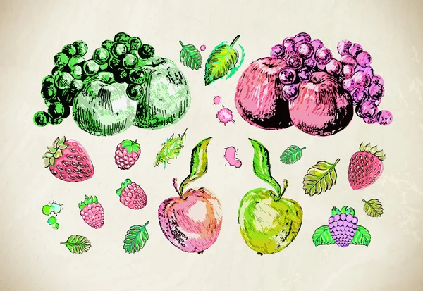 Jabłka, winogrona, malina, truskawka, Jeżyna. — Wektor stockowy