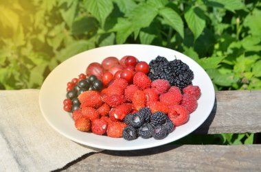 Ürün yelpazesine çilek plaka 