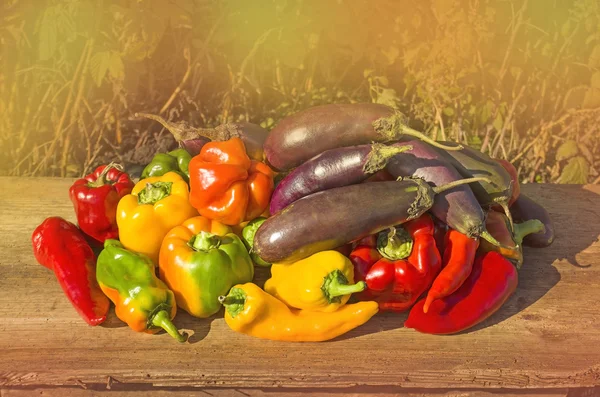 Grüne, gelbe und rote Paprika, Auberginen. — Stockfoto