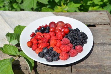 Ürün yelpazesine çilek plaka 