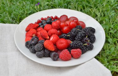 Ürün yelpazesine çilek plaka 