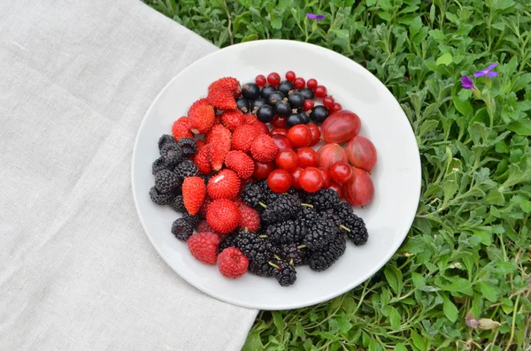 Тарелка сортовых ягод — стоковое фото