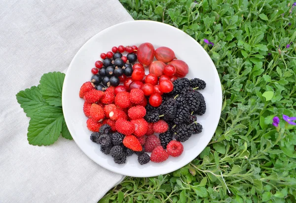 Assorted garden berries — Stock Photo, Image
