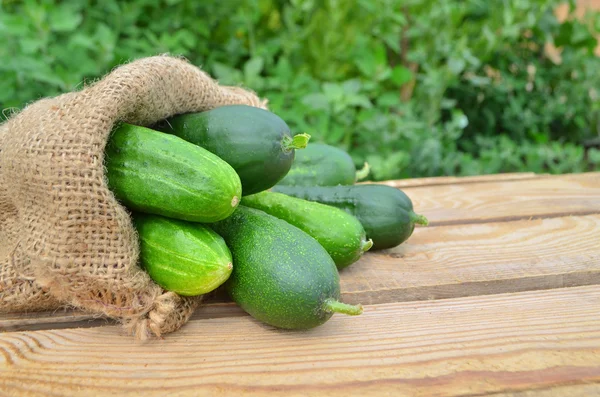 Cucumbers on the wood — Stock Photo, Image