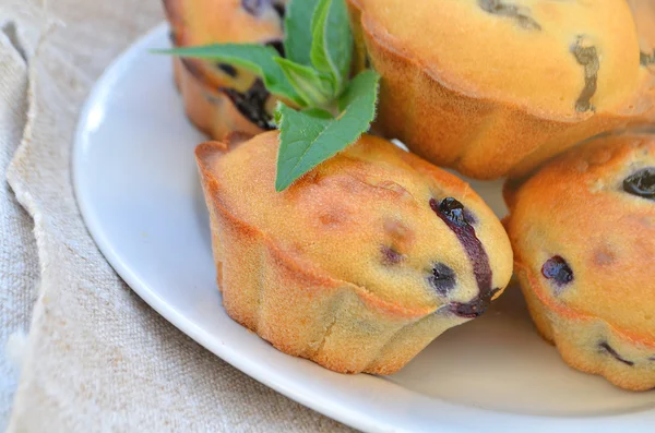 Muffin czernicy świeży — Zdjęcie stockowe