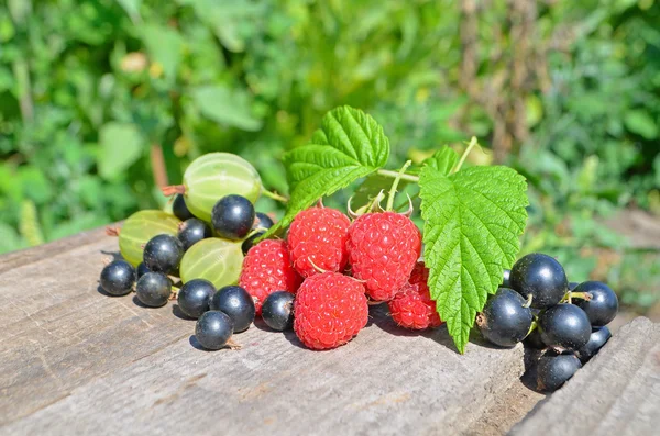 Assorted garden berries — Stock Photo, Image