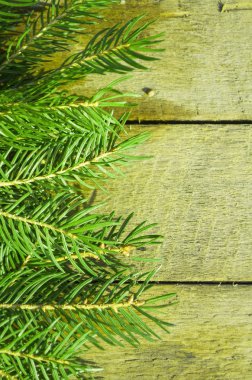 Noel köknar ağacı ahşap üzerine