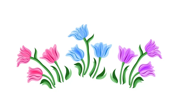 Zestaw kwiatów tulipany — Zdjęcie stockowe