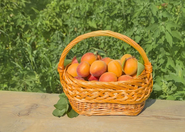 Abricots sur une table en bois — Photo