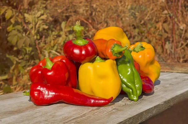 Red and yellow pepper — Stock Photo, Image