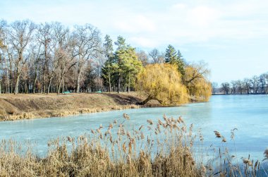 Kışın güzel bir park